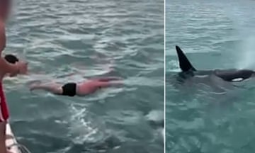 Vision shows a man in New Zealand attempting to ‘body slam’ an orca – screen shot