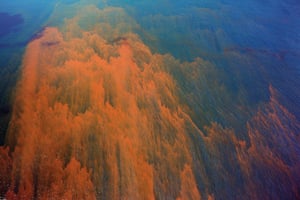 Oil – Gulf of Mexico, US