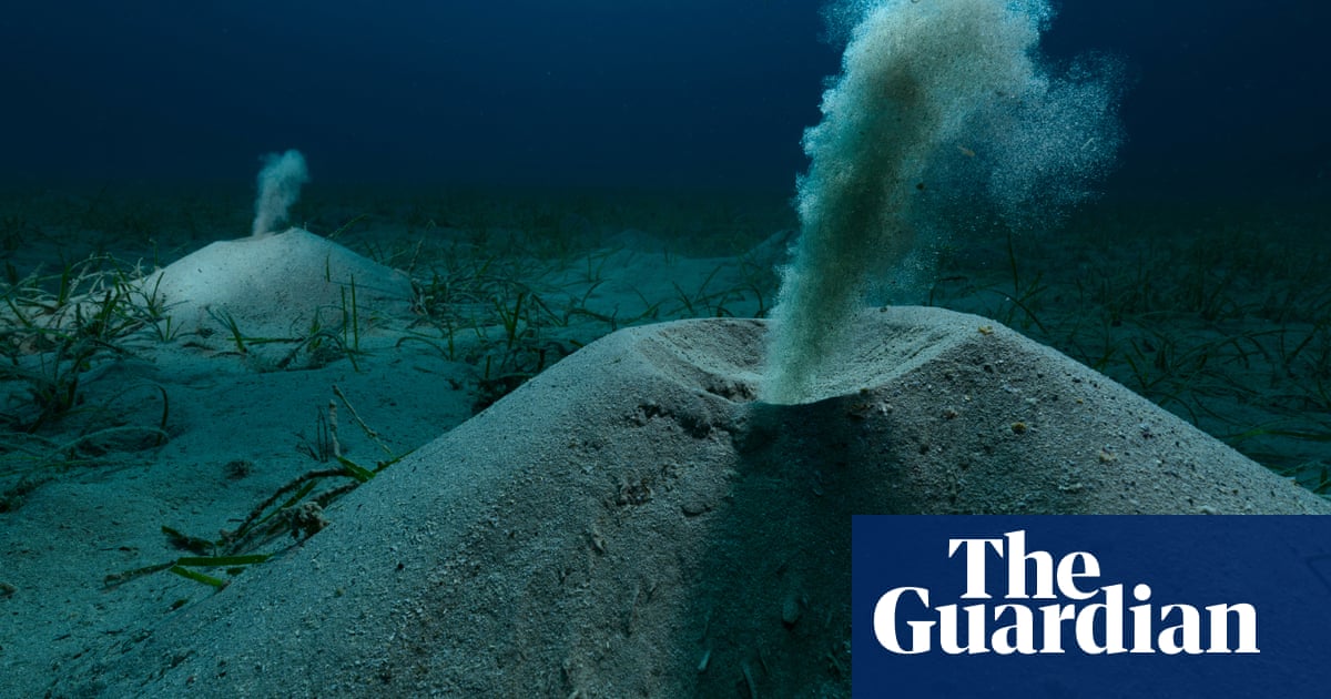 A seadragon and flushing worms: Environmental Photography award winners in pictures