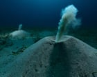 A seadragon and flushing worms: Environmental Photography award winners – in pictures