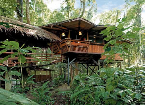 La Casa del Árbol