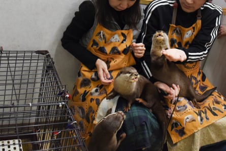 Two people wearing matching aprons sit next to a pet cage with otters on their laps