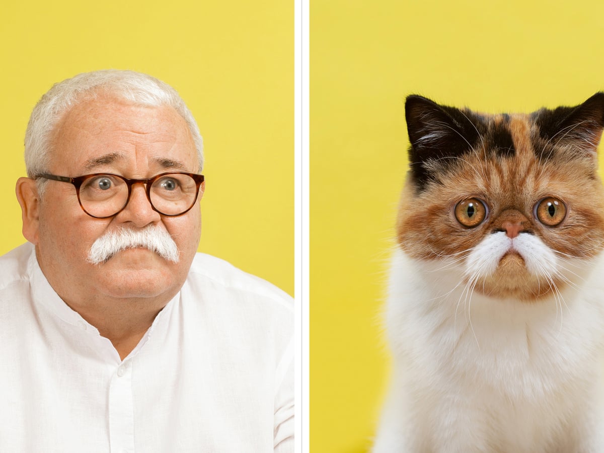 Purrfect Match Cats And Their Human Doubles Photography The Guardian