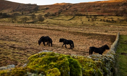 The project at Naddle farm and the surrounding farmland has created rural jobs.
