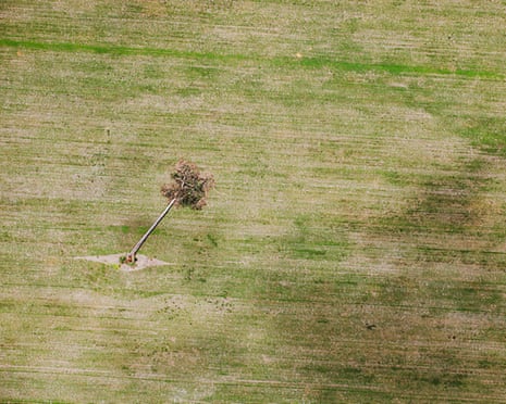 Soy field in the Amazon