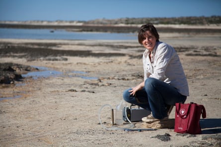 Erica Suosaari, a geologist and stromatolite expert from Bush Heritage Australia, says the bacteria building the stromatolites at Hamelin pool are the same as those that were active 3.7bn years ago.