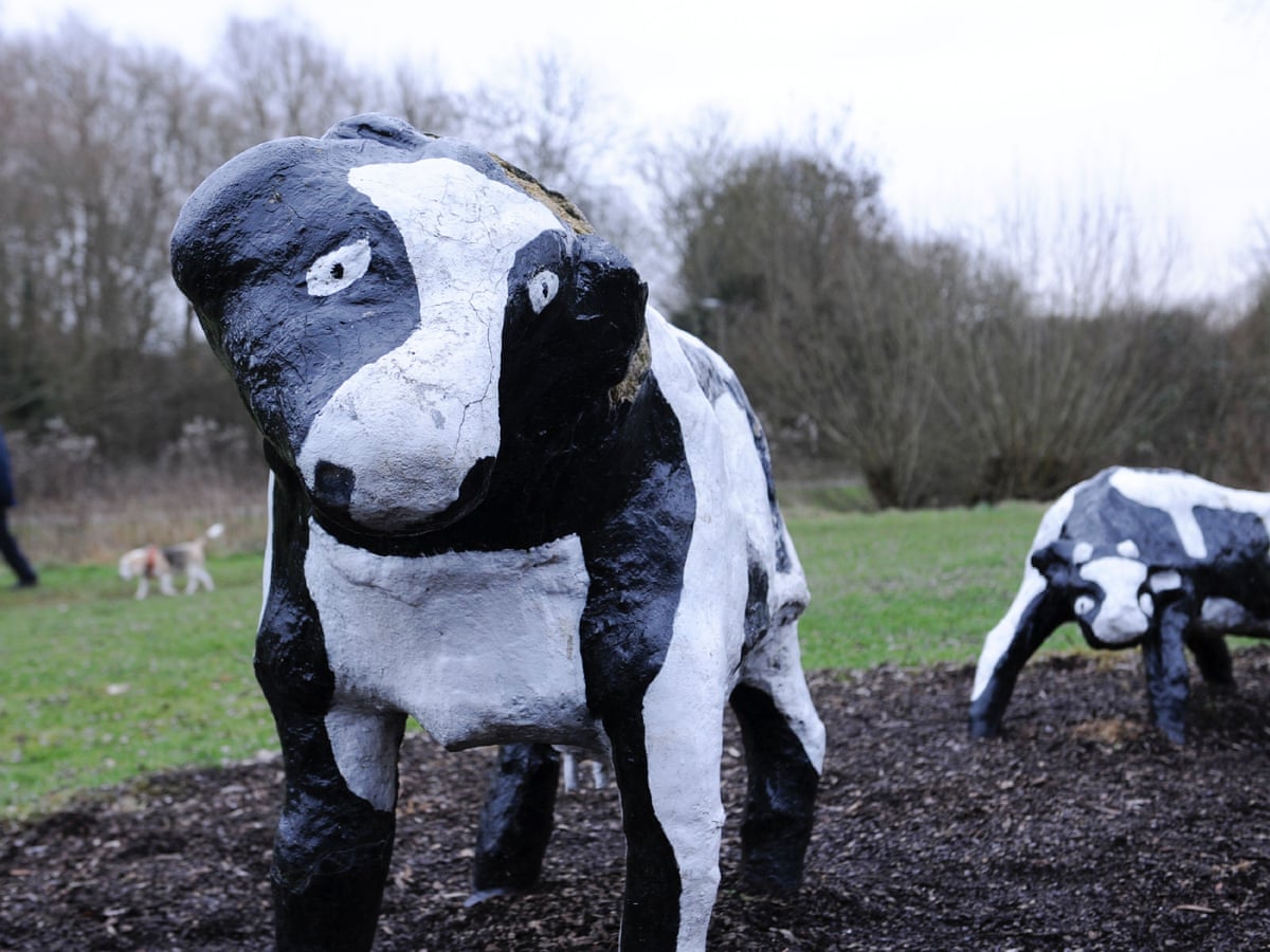 Get Warum ist das leben llavors ungerecht For iPhone Warum Ist Das Leben Llavors Ungerecht