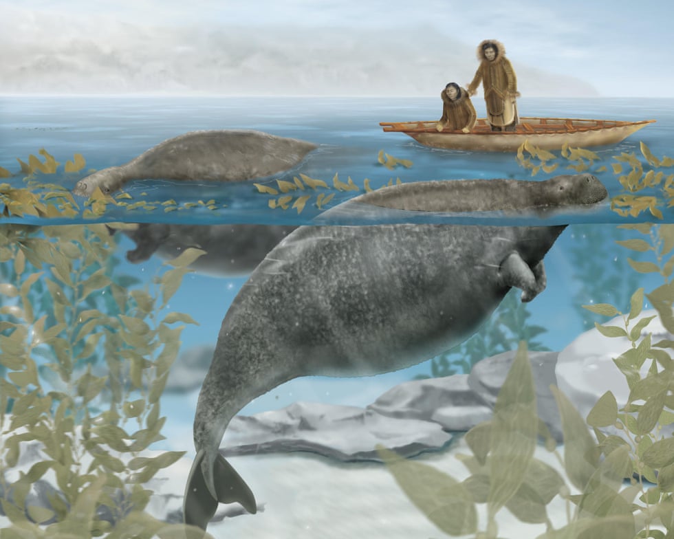 Beasts of the Sea: the tragic story of how the ‘gentle, lovable’ sea cow became the perfect victim Beasts of the Sea: the tragic story of how the ‘gentle, lovable’ sea cow became the perfect victim