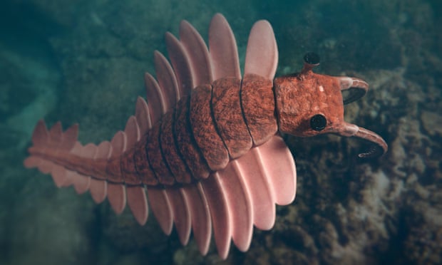 A rendering of anomalocaris, a prehistoric creature of the Cambrian period.