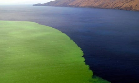 Lava and gases from an underwater volcanic eruption in the Canary Islands, turning waters green.