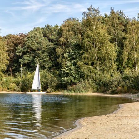 beach with trees and sailing boat