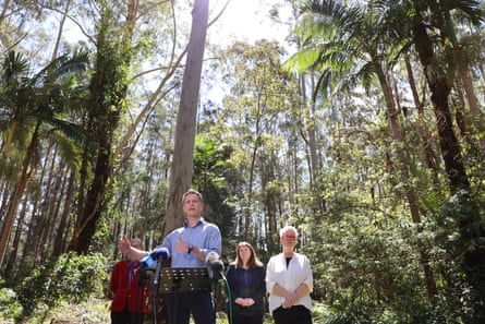 Chris Minns stands in a park with tall trees behind him