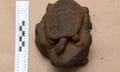 This photo provided by the FBI shows one of among 22 historic artifacts that were looted following the Battle of Okinawa in World War II and recovered after a family from Massachusetts discovered them as they were going through their late father's personal items. The FBI said Friday, March 15, 2024, that they have helped orchestrate the return of the artifacts to the Government of Japan, Okinawa Prefecture. (FBI via AP)