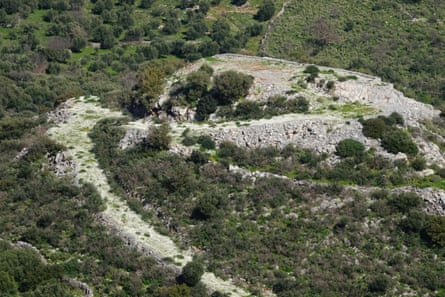 Chios chamomile smothering a disused track in Drosopigi, Mani, Greece