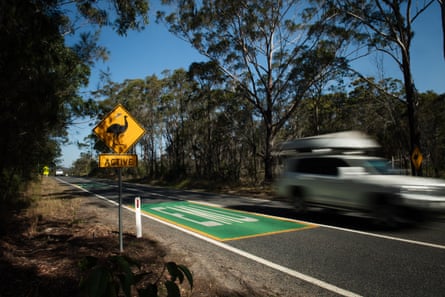 Emu road signs on Brooms Head road Taloumbi in northern New South Wales, Australia