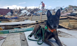 Mika, a search and rescue dog, takes a rest in the Abaco Island shantytown of Pigeon Peas, which was demolished in the wake of Hurricane Dorian, in Marsh Harbour, Bahamas on Sunday.