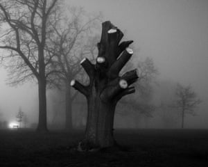The book ends with this image of a de-limbed tree photographed at dusk, in the fog.All quotes by the photographer.