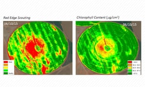 Sensilize’s pigment analysis
