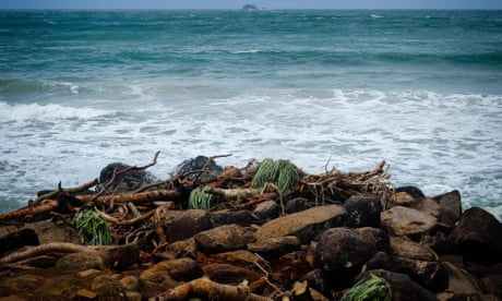 Sea Snakes May Be Lurking In Foam Covering Storm Lashed Australian Beaches Australia Weather The Guardian Sea Snakes May Be Lurking In Foam Covering Storm Lashed Australian Beaches Australia Weather The Guardian