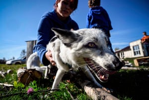 Tatyana Abramova e raposa