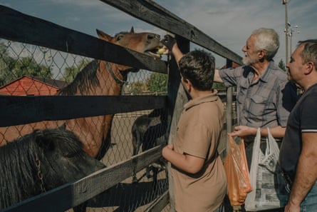 People feeding horses in a petting zoo