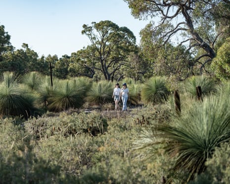Salvana Conservation Reserve