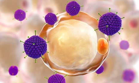 Computer illustration of an adenovirus.