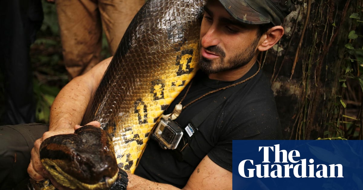 Why I Let Myself Be Eaten Alive By An Anaconda Environment The Guardian Why I Let Myself Be Eaten Alive By An Anaconda Environment The Guardian