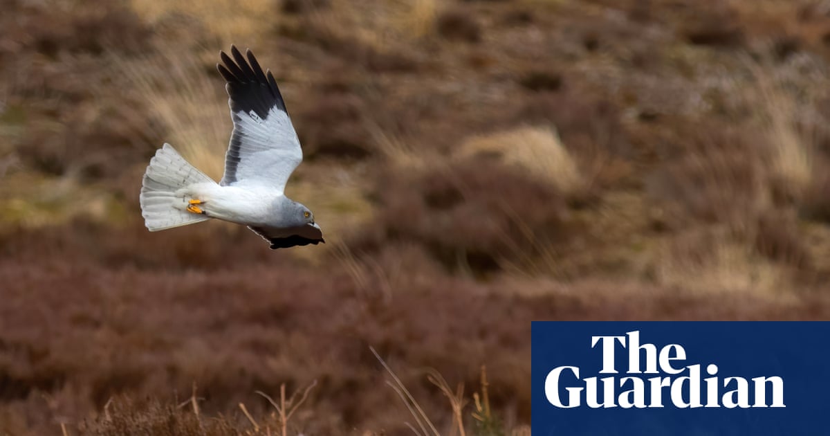 UK nature projects to be celebrated on Global Rewilding Day