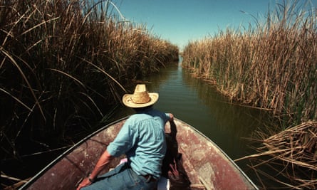 A boat makes its way through wetlands in the Upper Gulf of California.