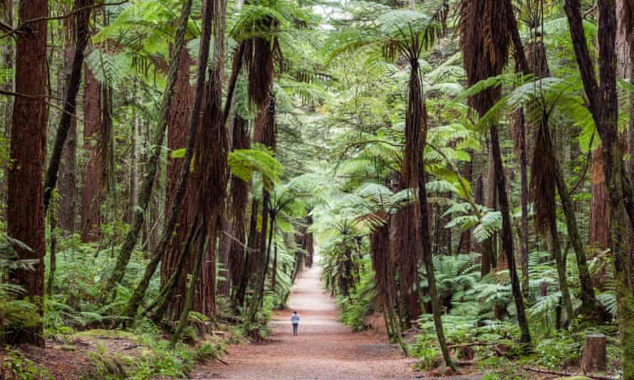 Woman running in New Zealand