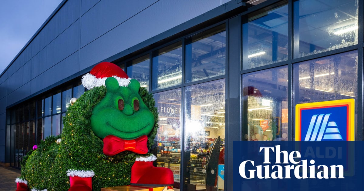 Aldi reports record Christmas sales after shoppers moved to cut festive grocery bills
