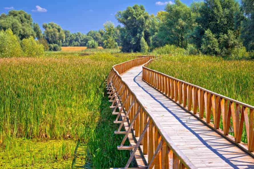 Marshes at Kopački Rit nature park.