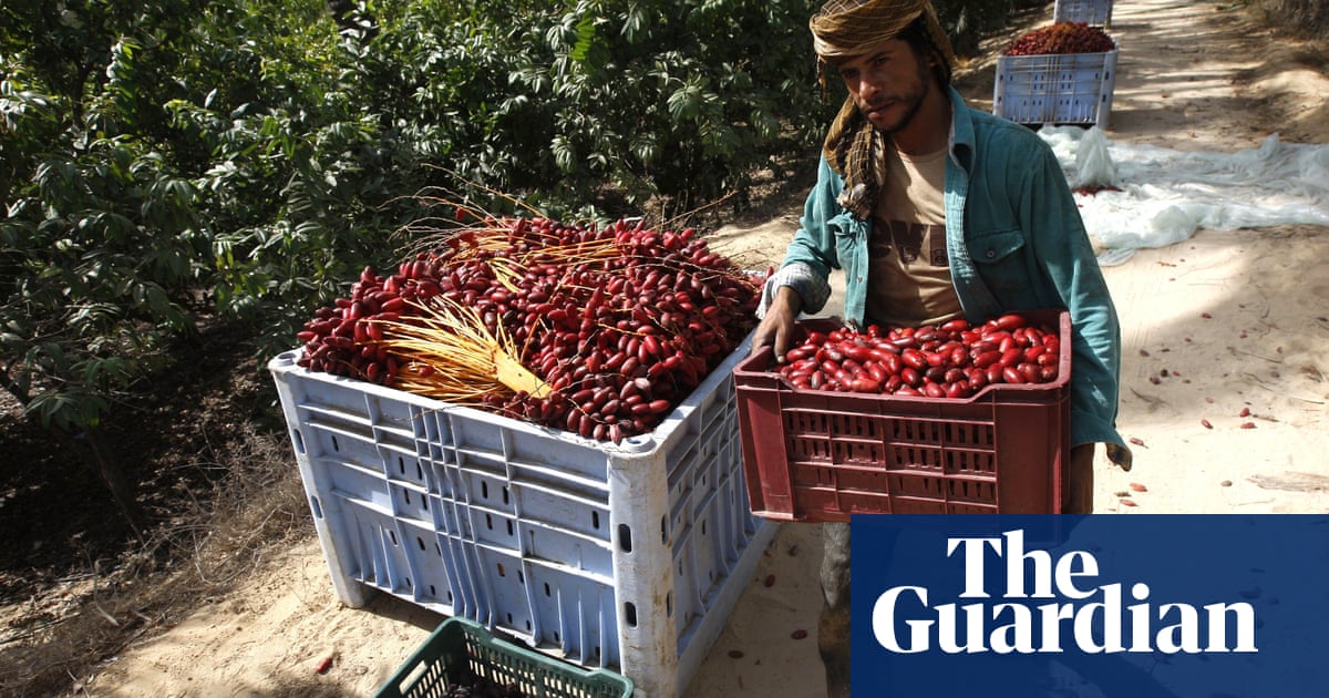 Israeli spraying of herbicide near Gaza harming Palestinian crops