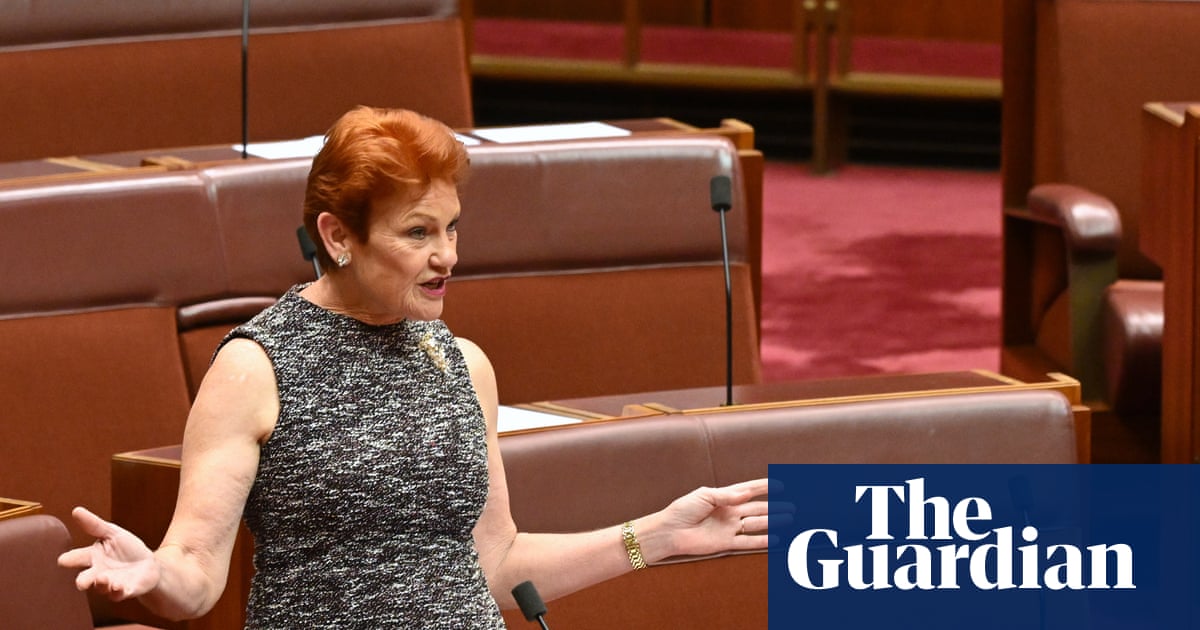 SA premier warns One Nation poses threat to federal Labor as Marles says party only ‘about stunts and the vibe’