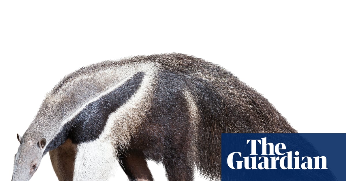 Thursday news quiz: Stolen jewels, breakdancing fools and a car that’s breaking the rules