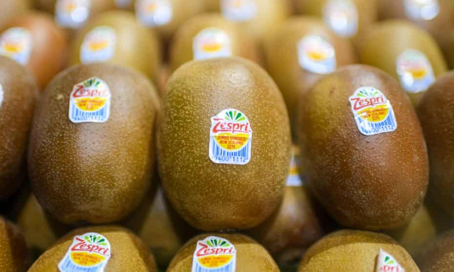 Zespri’s golden kiwis.