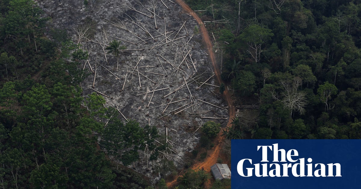 Brazil space institute director sacked in Amazon deforestation row