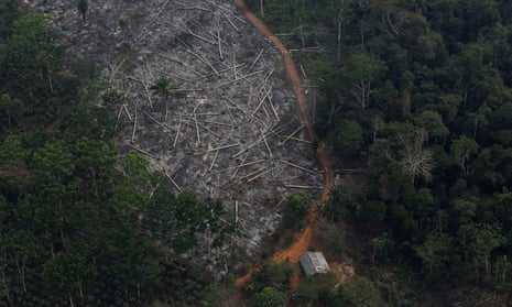 Aerial view of logged forest