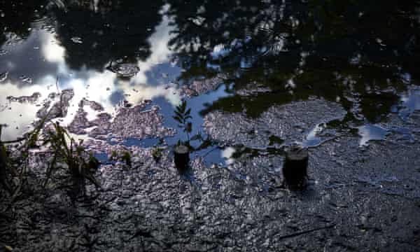 Raw sewage in the River Lea from a Thames Water overflow pipe at the Olympic Park.