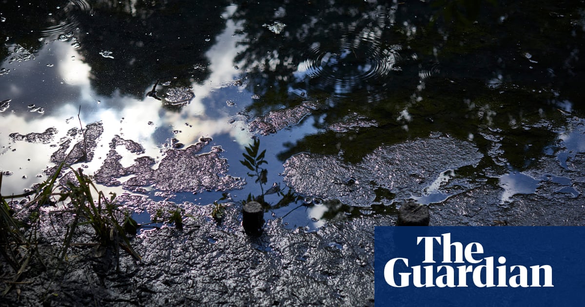 Sewage dumps into English rivers widespread, criminal inquiry suspects