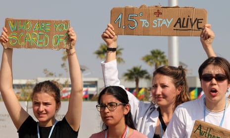 Climate protesters in Egypt