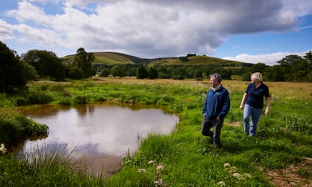 مادي وداني تيسديل في حقل بجانب ثاكثويت بيك في وادي ماترديل.