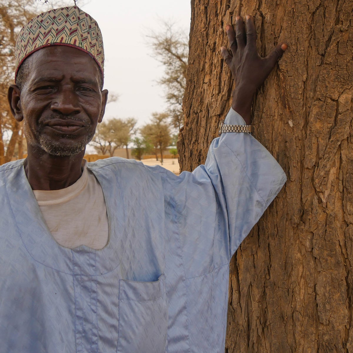 The Great African Regreening Millions Of Magical New Trees Bring Renewal World News The Guardian