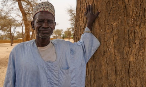 Souley Cheibou with an old gao tree he remembers from when he was a child