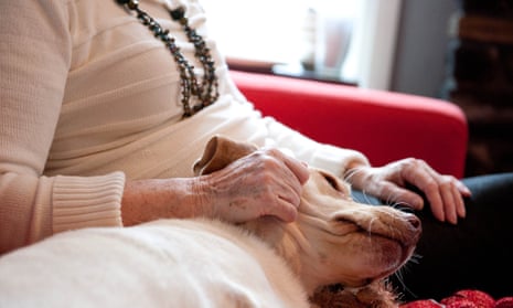Care homes should allow pets – they are the difference between coping and  crumbling | Life and style | The Guardian