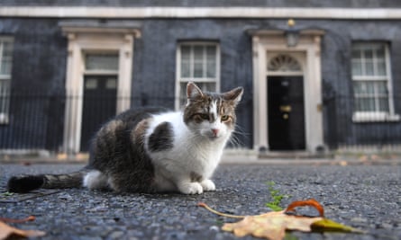 Larry the Cat: ‘There are still some rats left.’