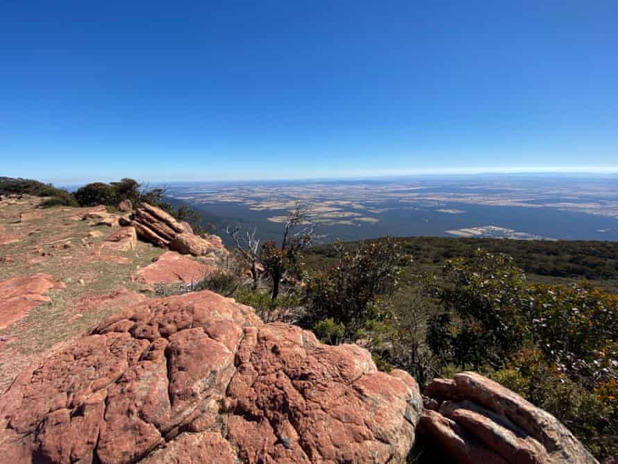 On the new Grampians Peaks Trail: ‘I have the landscape to myself for days at a time’ | Australia holidays 6 The challenging central section of the trail ascends peaks such as 1167m Mt William, the tallest mountain in western Victoria.