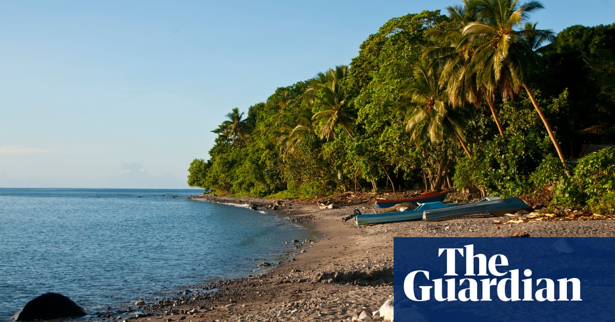 It was a nice break from everything: two men rescued after 29 days lost at sea | Solomon Islands | The Guardian