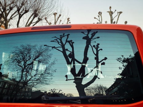 Skyline and bare trees at dusk reflected in the back window of a car.